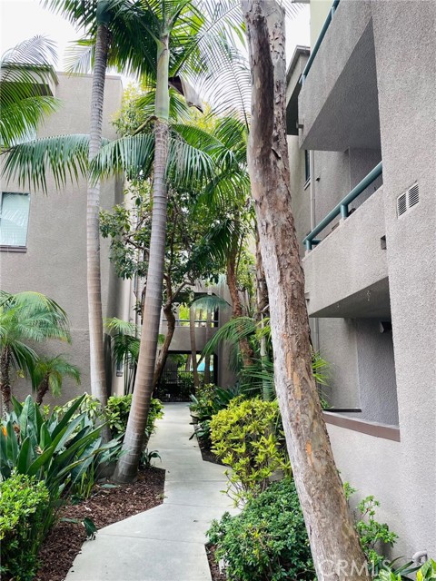 8300 Manitoba Street, Playa del Rey CA: https://media.crmls.org/medias/12b4c013-01b2-44bf-bd51-5425147bc745.jpg