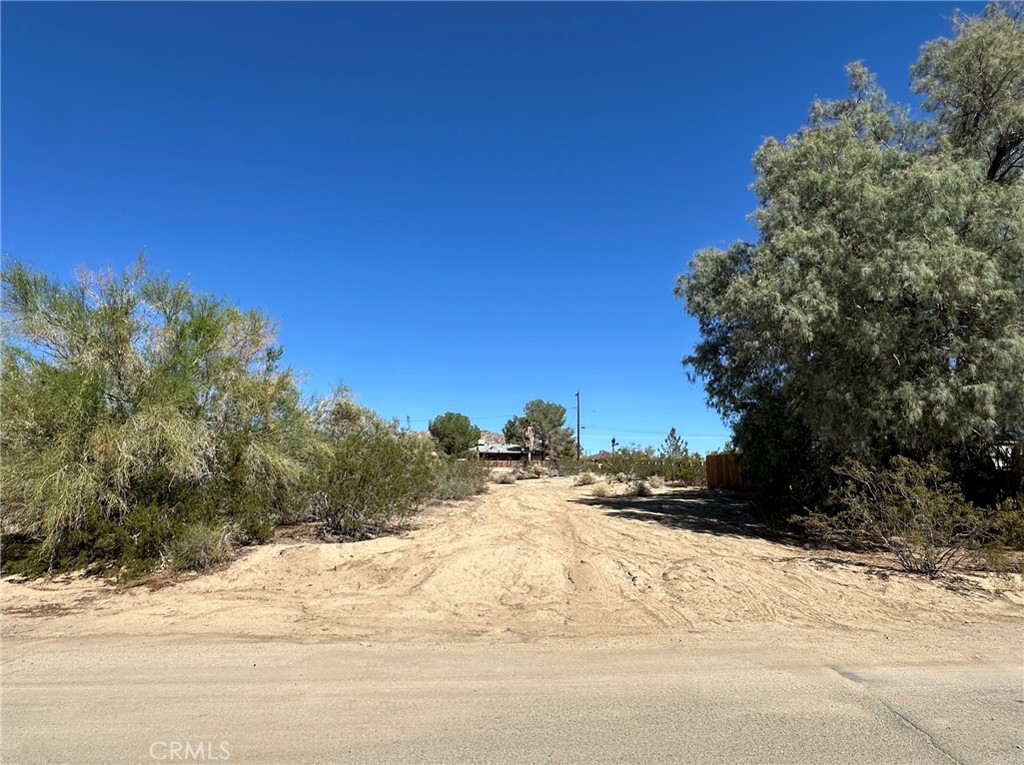 MLS #IV25254140 image #1