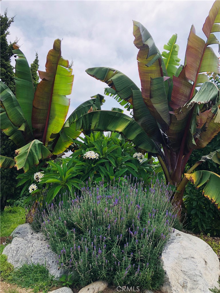 https://media.crmls.org/medias/12c0f745-9cfa-4051-8623-775d00bf343b.jpg?preset=X-Large