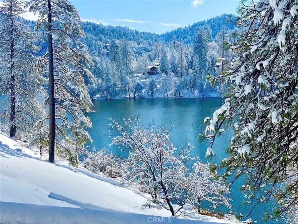 https://media.crmls.org/medias/12c98fb0-ebf0-4007-8f6d-56b45940d3bc.jpg?preset=X-Large