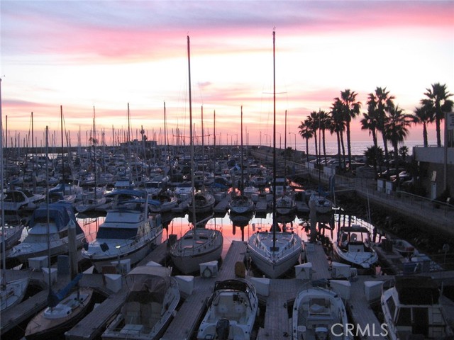 Moor your boat or grab a kayak/paddle board/dinghy. Four lovely marinas just to the west.  King Harbor, Portofino Harbor, Port Royal Harbor, and Redondo Harbor.  Less than a 5 min. drive, 6 min. bike.