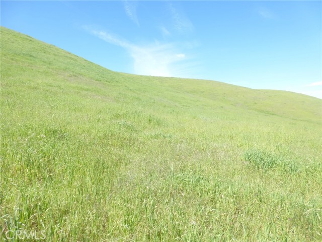 Detail Gallery Image 68 of 75 For 0 Douglas Rd. (Lots 28, 33 & 34), San Miguel,  CA 93451 - – Beds | – Baths