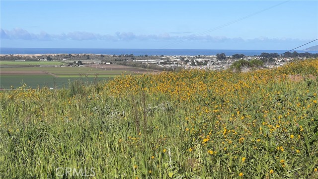 Detail Gallery Image 11 of 29 For 0 Castle Bluff, Arroyo Grande,  CA 93420 - – Beds | – Baths