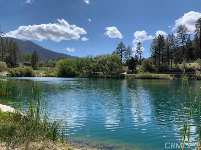 2216 Woodland Drive, Pine Mountain Club CA: https://media.crmls.org/medias/12d3d3c6-c9db-4aa1-8b8b-3151e622c7d0.jpg