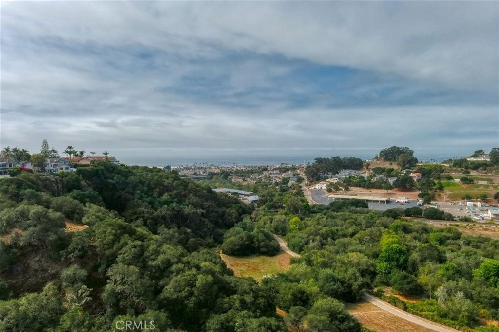 MLS #PI25233278 image #48