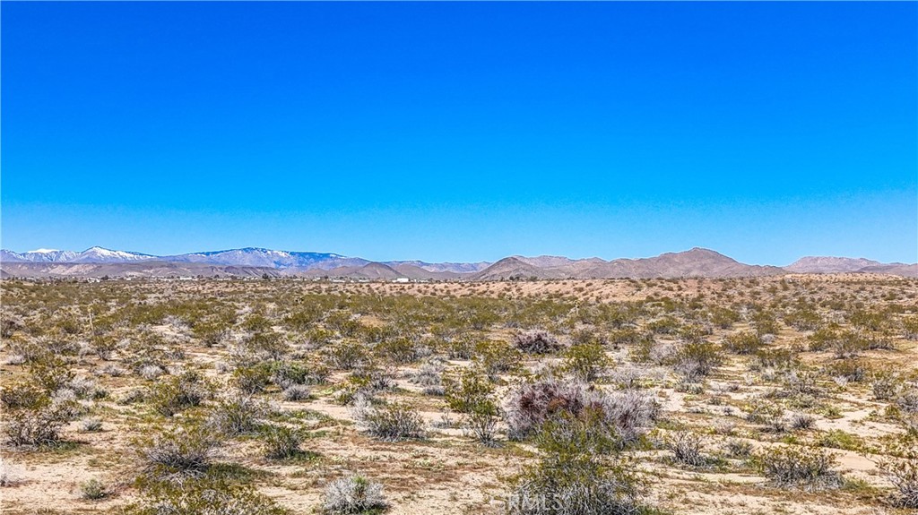 MLS #JT25078936 image #17