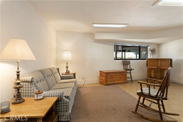 Lower Level living area