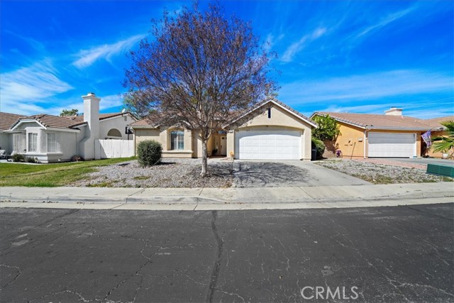 Front Image Thumbnail for CROC26046808