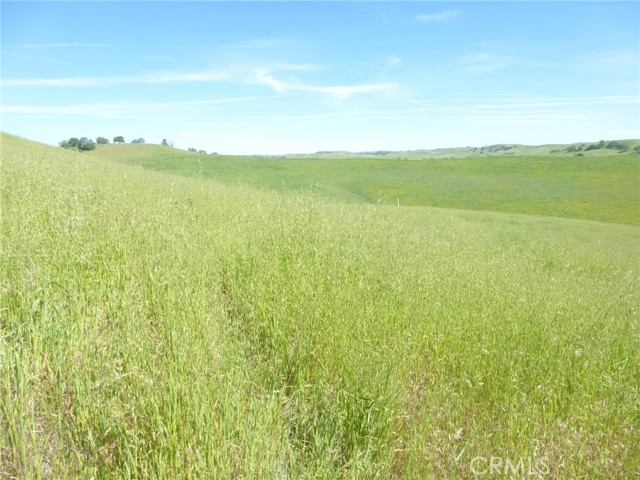 Detail Gallery Image 10 of 40 For 0 Douglas Rd. (Lot 43), San Miguel,  CA 93451 - – Beds | – Baths