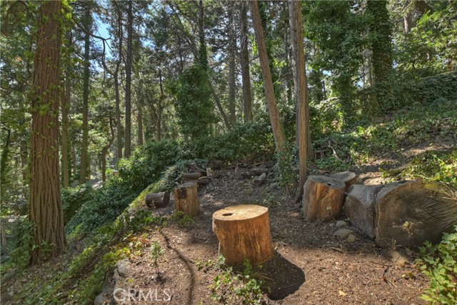 Detail Gallery Image 27 of 32 For 23717 Scenic Dr, Crestline,  CA 92325 - 2 Beds | 1 Baths