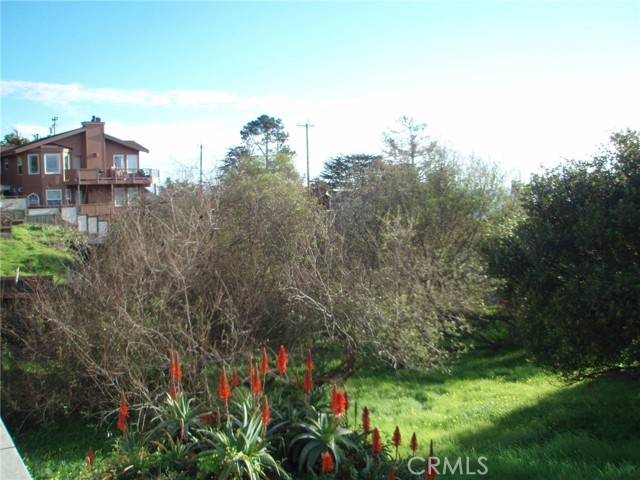 Detail Gallery Image 4 of 13 For 0 Madison St, Cambria,  CA 93428 - – Beds | – Baths