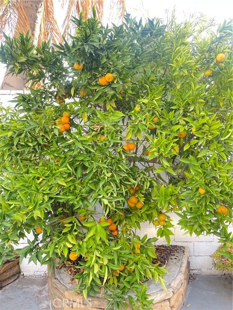 Detail Gallery Image 42 of 55 For 13849 San Antonio Ave, Chino,  CA 91710 - 4 Beds | 3 Baths