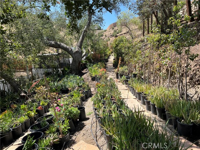 Detail Gallery Image 9 of 40 For 10171 N Sherman Grove, Sunland,  CA 91040 - – Beds | – Baths
