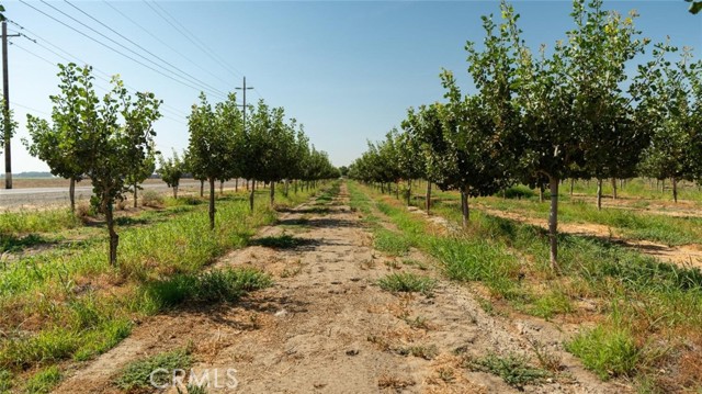 Detail Gallery Image 5 of 16 For 16000 11th Ave, Hanford,  CA 93230 - – Beds | – Baths