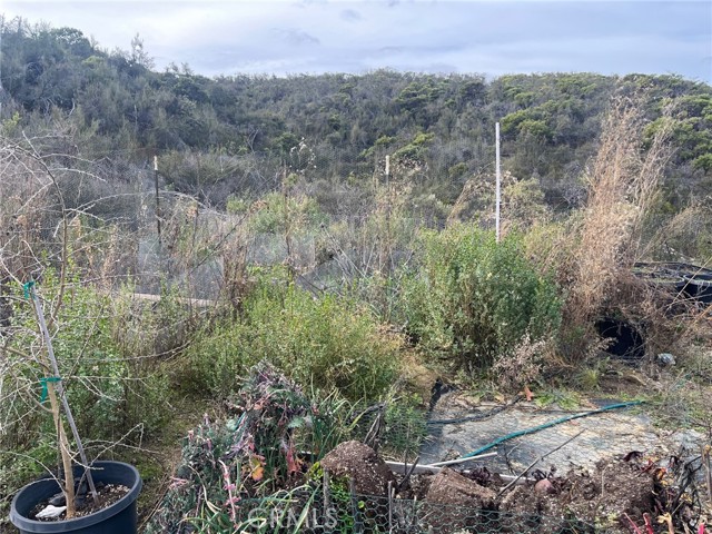 Detail Gallery Image 3 of 8 For 8445 Old Dirt Rd, Kelseyville,  CA 95451 - – Beds | – Baths