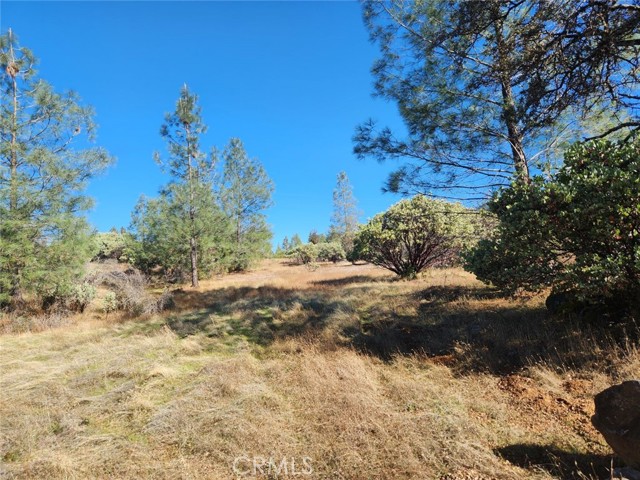 Detail Gallery Image 4 of 32 For 14444 Labadie, Dobbins,  CA 95935 - – Beds | – Baths