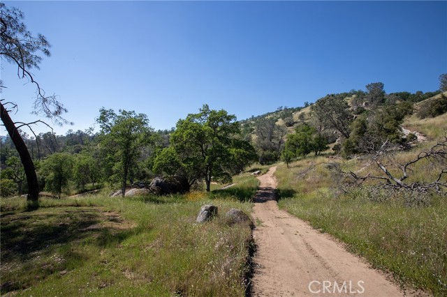 Detail Gallery Image 55 of 58 For 29200 Acorn Ct, Coarsegold,  CA 93614 - 4 Beds | 3 Baths