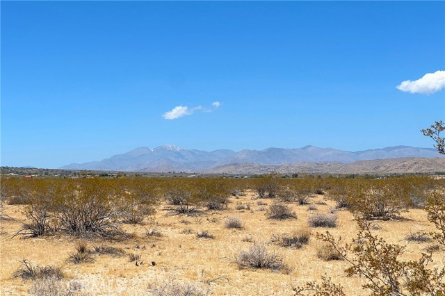 Detail Gallery Image 4 of 5 For 6335 Pelican, Joshua Tree,  CA 92252 - – Beds | – Baths