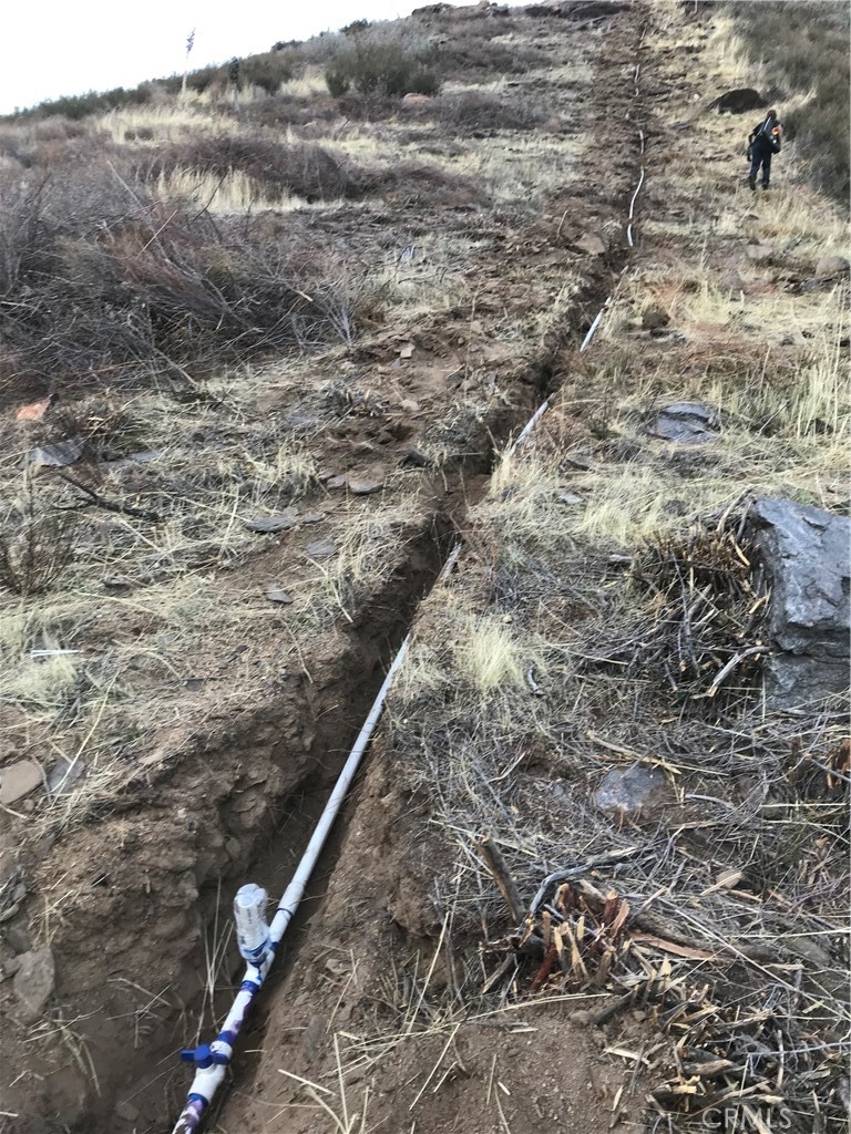 MLS #IV25040301 image #5