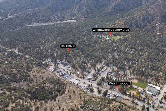 Detail Gallery Image 36 of 37 For 1461 Betty Street, Wrightwood,  CA 92397 - 2 Beds | 1 Baths