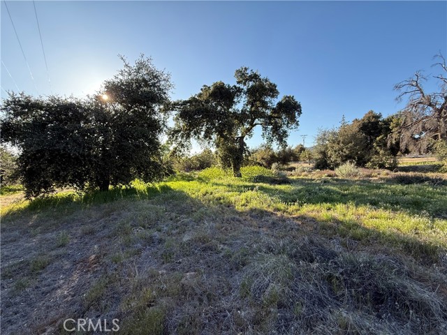Detail Gallery Image 2 of 20 For 3 Chihuahua Valley Rd, Warner Springs,  CA 92086 - – Beds | – Baths