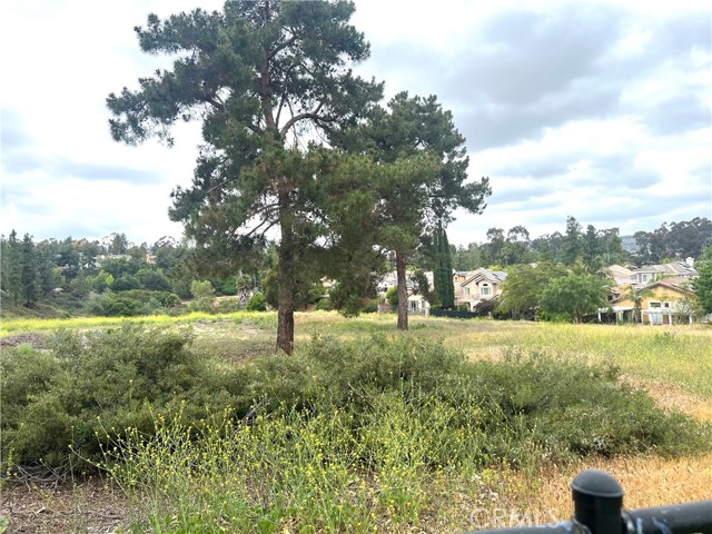 13564 Esprit Avenue, San Diego CA: https://media.crmls.org/medias/1312e5ef-2efe-4ae3-95f8-e9bf7b4d2fc7.jpg