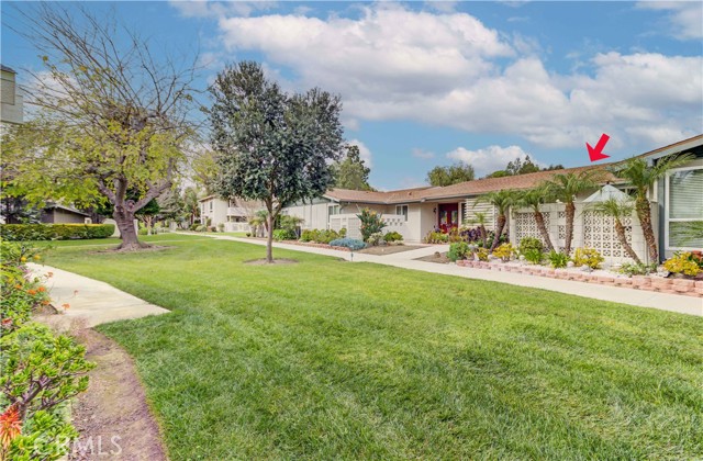 Front Image Thumbnail for CROC26031293