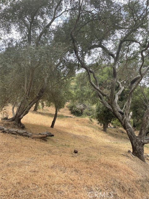 0 Turnbull Canyon, Hacienda Heights, CA, 91745 0 Turnbull Canyon, Hacienda Heights, CA, 91745