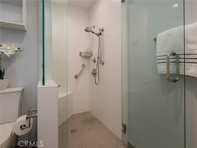 Walk-in shower, curbless for easy entry, multiple grab bars.