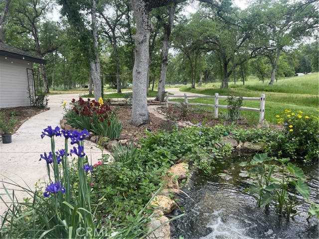 29503 Spence Lane, Tollhouse CA: https://media.crmls.org/medias/1320f8ee-d06f-4915-83b7-af13f97e39d3.jpg