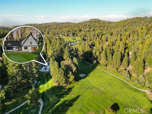 157 Brentwood Drive, Lake Arrowhead CA: https://media.crmls.org/medias/1321c59d-5ea7-4537-9061-37793b6721bd.jpg
