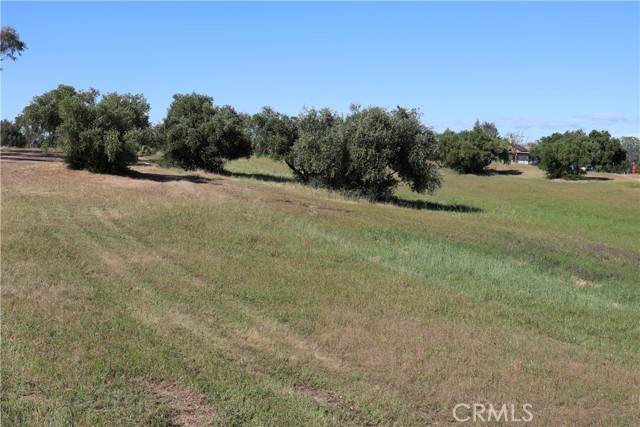 Detail Gallery Image 7 of 32 For 0 Carona Ave., Corning,  CA 96021 - – Beds | – Baths