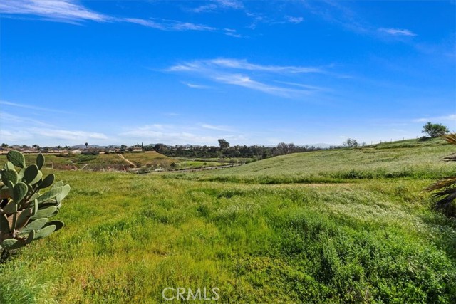 Image 62 of 73 For 982 Big Spring Court