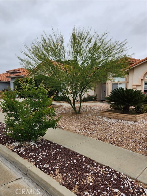 1944 Almond Tree Street, Hemet, CA, 92545 1944 Almond Tree Street, Hemet, CA, 92545