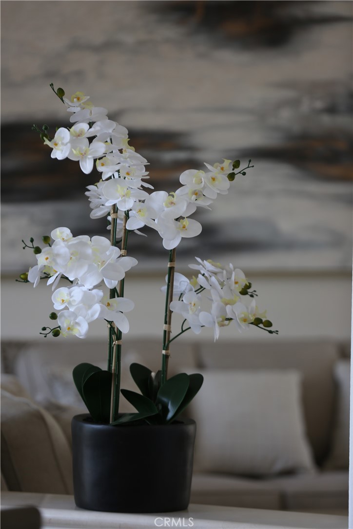 MLS #GD25254199 image #27