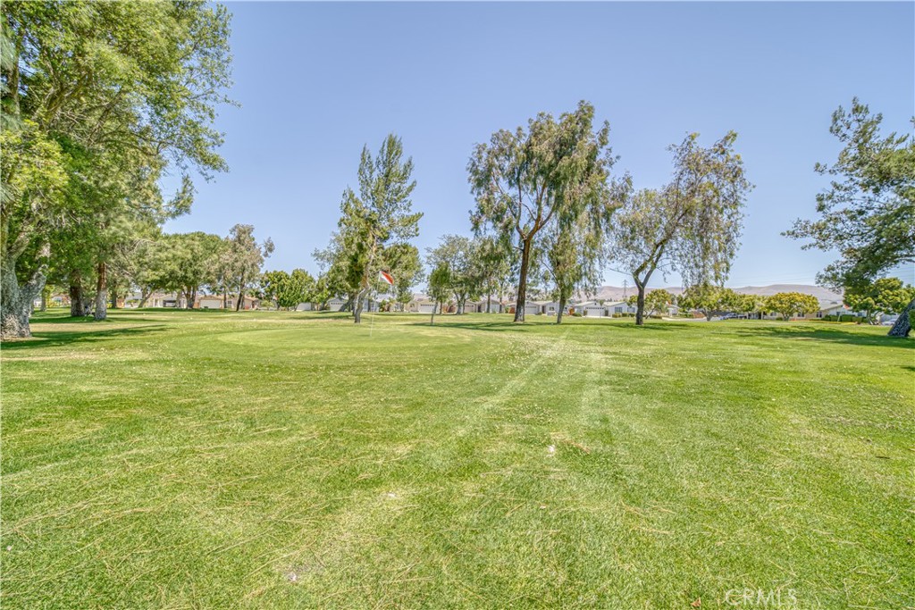 MLS #PI25248487 image #33