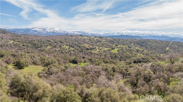 Detail Gallery Image 54 of 55 For 51859 Sesame, Squaw Valley,  CA 93675 - 2 Beds | 2 Baths