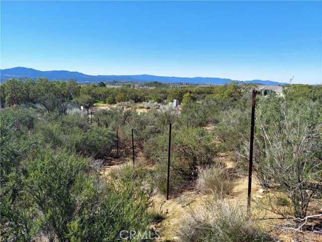 Front Image Thumbnail for CRIV25222165