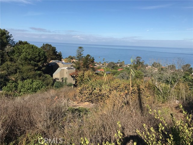 7530 Hillside Drive, La Jolla CA: https://media.crmls.org/medias/1333c7fc-0201-4068-9705-efc05594ed0f.jpg