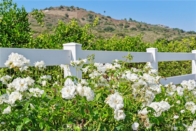 Detail Gallery Image 44 of 73 For 23505 Carancho Rd, Temecula,  CA 92590 - 4 Beds | 4/1 Baths