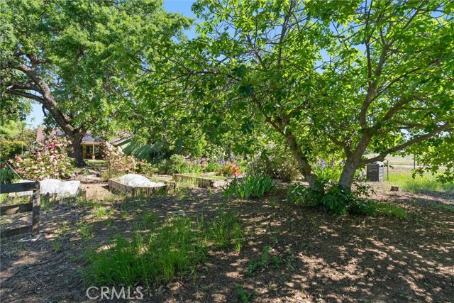 Detail Gallery Image 68 of 75 For 5 Roseanna Ct, Chico,  CA 95973 - 4 Beds | 2/1 Baths