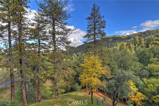 Image 2 for 24998 Jewel Dr, Crestline, CA 92325