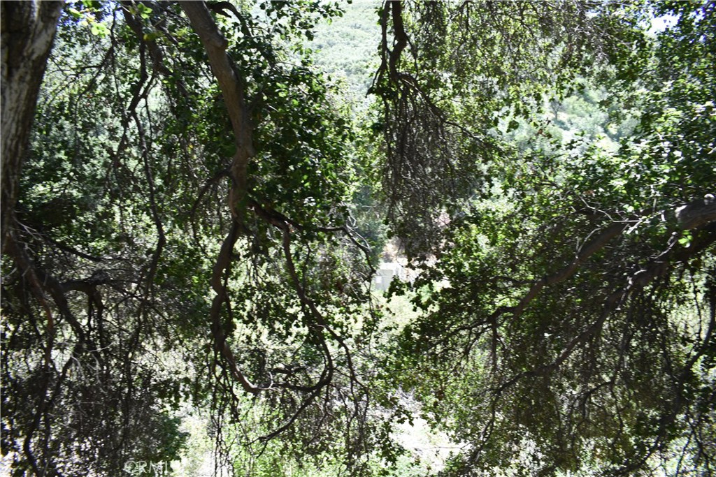 MLS #HD25051670 image #8