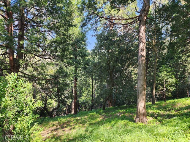 Detail Gallery Image 14 of 21 For 811 Deer Trl, Crestline,  CA 92325 - – Beds | – Baths