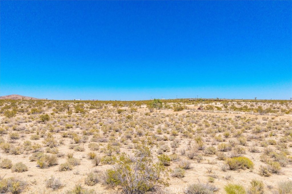 MLS #JT25107809 image #8