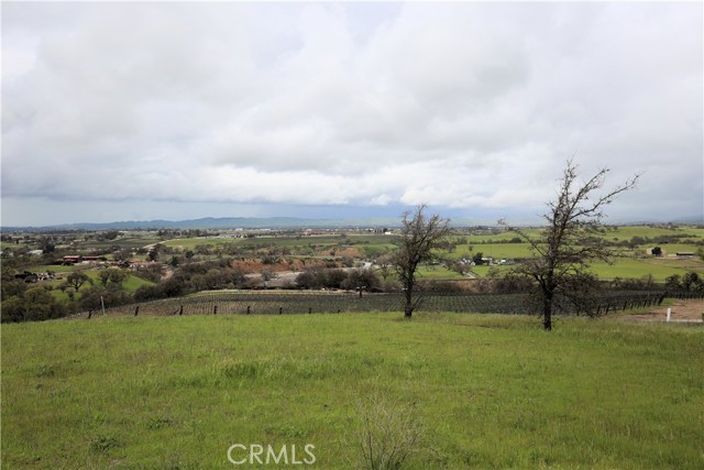 14 Rita Street, Paso Robles, California 93446, ,Land,For Sale,14 Rita Street,CRNS23047579