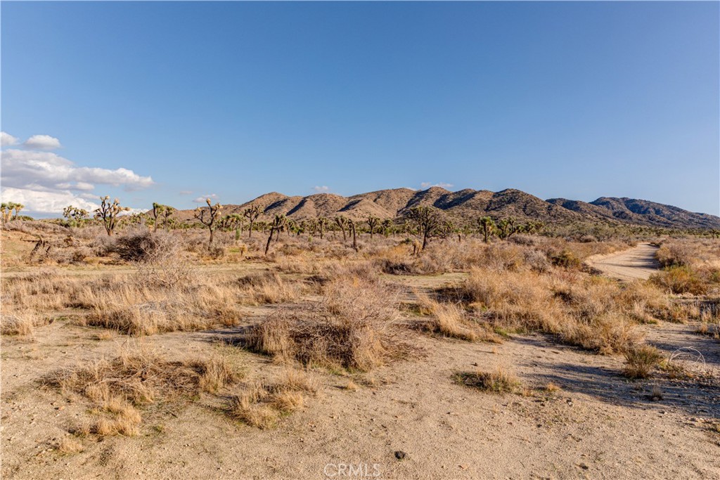 MLS #JT25229239 image #22