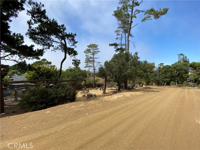 Detail Gallery Image 6 of 8 For 0 Richard Ave, Cambria,  CA 93428 - – Beds | – Baths