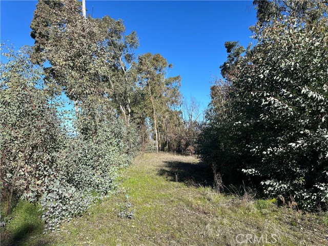 Detail Gallery Image 48 of 51 For 5235 Gaddy, Kelseyville,  CA 95451 - 2 Beds | 1 Baths