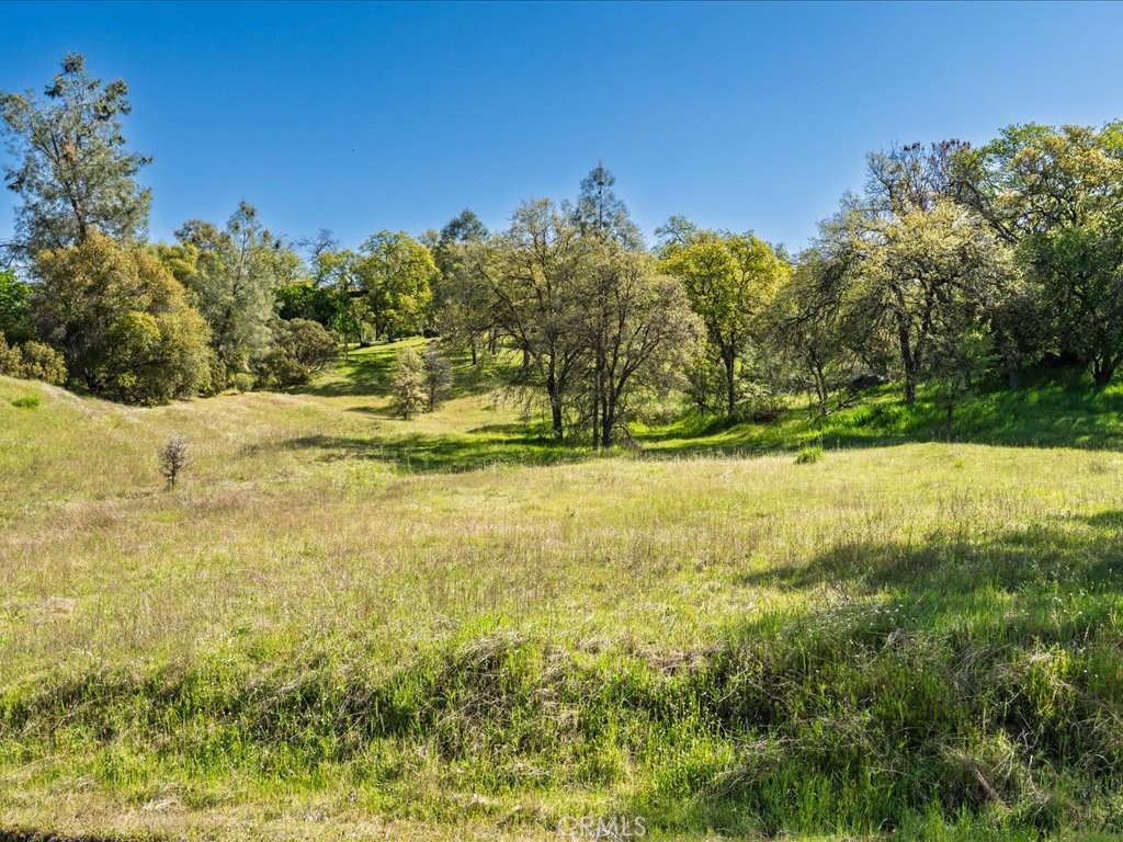 MLS #MP25073835 image #7
